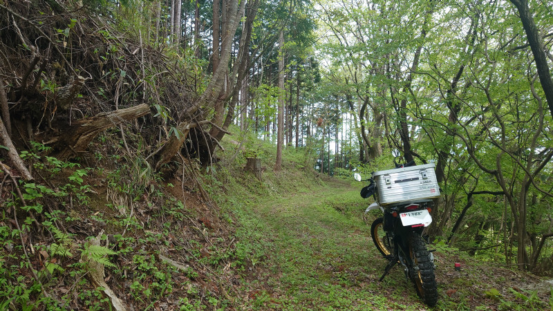 セロー250林道
