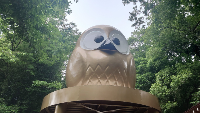 黄金のふくろう